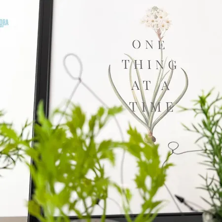 Slataper 12 Tirabora Short Rent 公寓 *