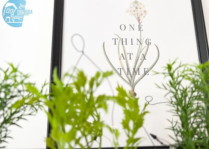 Slataper 12 Tirabora Short Rent Апартаменты *